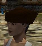 File:Cap (Store) Arwic Brown Live.jpg