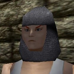 Chainmail Coif Live.jpg