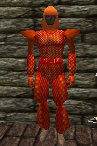 File:Scalemail Armor Fail Live.jpg