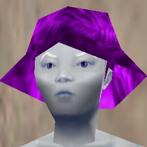 File:Aphus Sun Guard Relanim Live.jpg