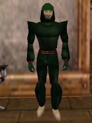 File:Leather Armor (Store) Verdalim Live.jpg