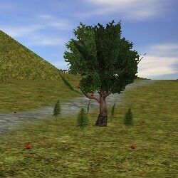 File:42.2N, 34.6E - Apple Tree Live.jpg