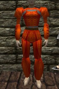 File:Yoroi Armor Fail Live.jpg