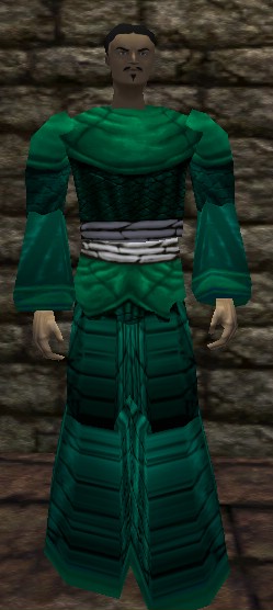 File:Sturdy Reedshark Robe Minalim Live.jpg