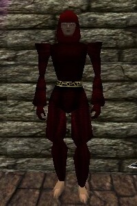 File:Chainmail Armor Hennacin Live.jpg