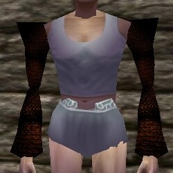 File:Chainmail Sleeves Live.jpg