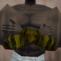 File:Armoredillo Hide Bracers Berimphur Live.jpg