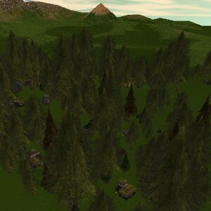 New Nesortania Live.jpg