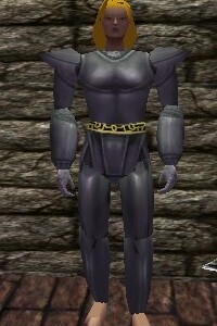 File:Platemail Armor Argenory Live.jpg