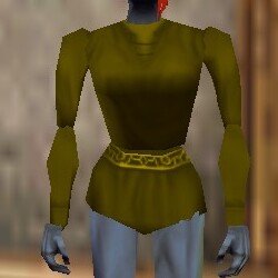 File:Shirt Berimphur Live.jpg