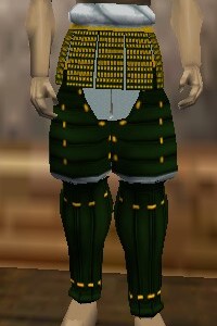 O-Yoroi Leggings Verdalim Live.jpg