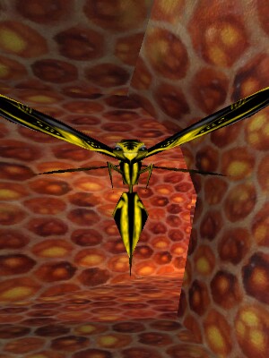 File:Killer Phyntos Soldier Live.jpg