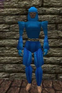 File:Chainmail Armor Lapyan Live.jpg