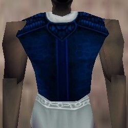 File:Armoredillo Hide Breastplate Colban Live.jpg