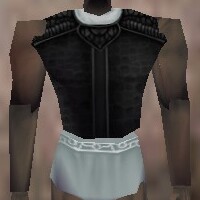 File:Armoredillo Hide Breastplate Thananim Live.jpg