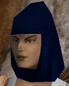 File:Cowl (Store) Lytelthorpe Blue Live.jpg