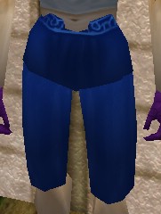 File:Loose Breeches (Blue) Live.jpg