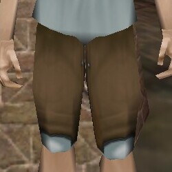 File:Knorr Academy Tassets Live.jpg