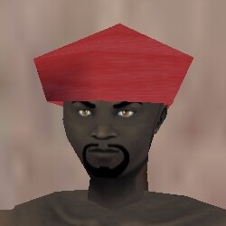 Leather Cap Fail Live.jpg