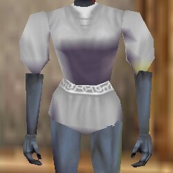 Puffy Tunic Argenory Live.jpg