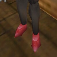 File:Shoes Fail Live.jpg