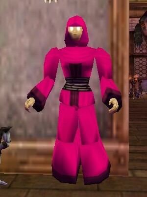 File:Pathwarden Robe (Aluvian) Fail Live.jpg