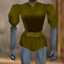 Puffy Tunic Berimphur Live.jpg