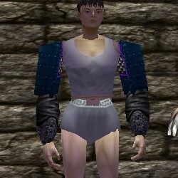 File:Koujia Sleeves Live.jpg