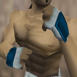 O-Yoroi Gauntlets Colban Live.jpg