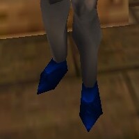 Shoes Colban Live.jpg