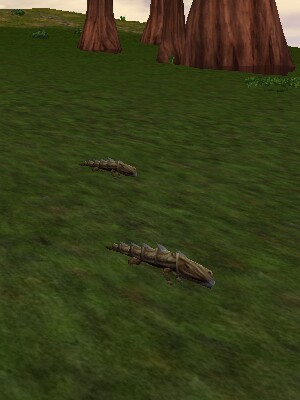 File:Spikey Armoredillo Pup (Old) Live.jpg - Drunkapedia