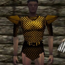 File:Scalemail Shirt Live.jpg