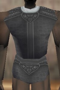 File:Armoredillo Hide Cuirass Argenory Live.jpg