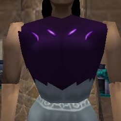 File:Sedgemail Leather Vest Live.jpg