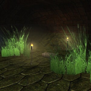 File:Cursed Swamp 3 Live.jpg