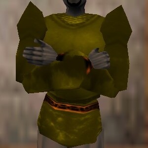 Mattekar Hide Coat Berimphur Live.jpg