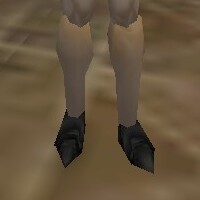 File:Noble Sollerets Thananim Live.jpg