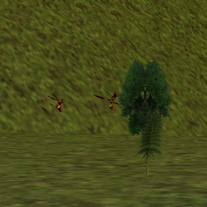 File:41.8N, 34.9E - Wasp Bush Live.jpg