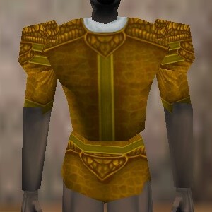 File:Fine Armoredillo Hide Shirt Fail Live.jpg