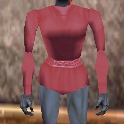 File:Shirt Fail Live.jpg