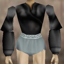 File:Sparring Shirt Thananim Live.jpg