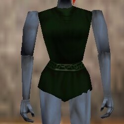 File:Jerkin Verdalim Live.jpg