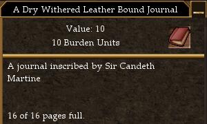 A Dry Withered Leather Bound Journal.jpg