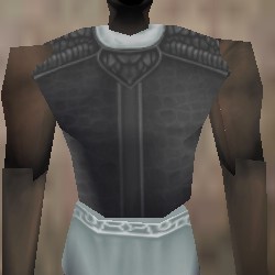 File:Armoredillo Hide Breastplate Argenory Live.jpg