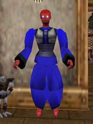 File:Pathwarden Robe (Gharu'ndim) Colban Live.jpg