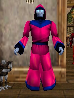 File:Pathwarden Robe (Viamontian) Fail Live.jpg