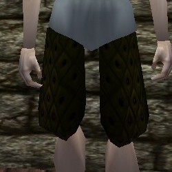 File:Studded Leather Tassets Live.jpg