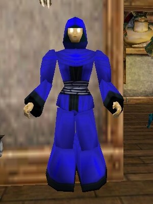 File:Pathwarden Robe (Aluvian) Colban Live.jpg