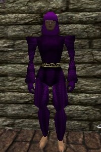 File:Chainmail Armor Relanim Live.jpg