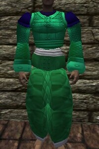 File:Amuli Armor Minalim Live.jpg